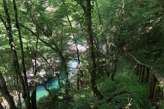 Calore Gorge Excursion