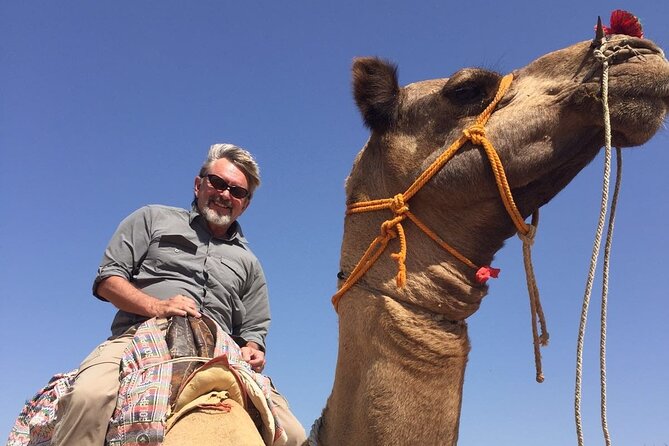 Camel Safari Experience With Locals