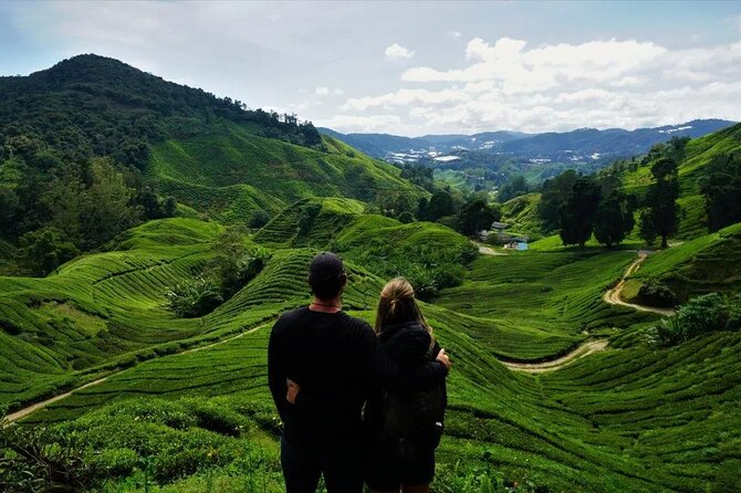 Cameron Highlands Tour From Kuala Lumpur