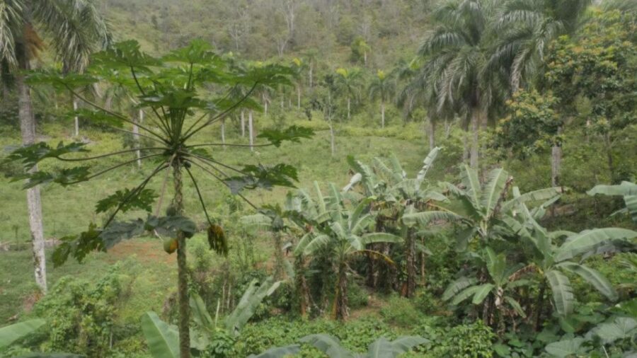 18 Best Tours In Samana