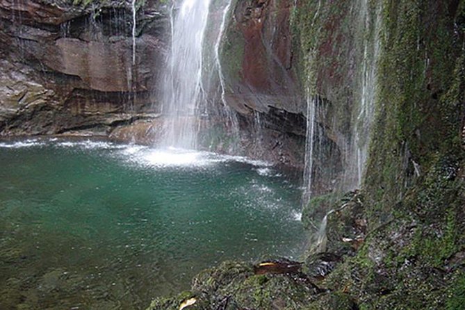 Canico Small-Group Rabacal 25 Fountains Hike  – Funchal