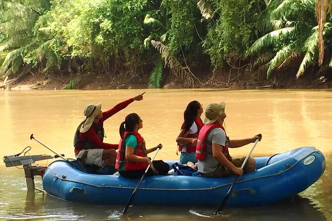 Caño Negro Eco Safari Boat Tour - Tour Overview
