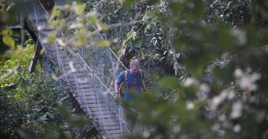 Canopy Walk and Monkey Island - Key Points