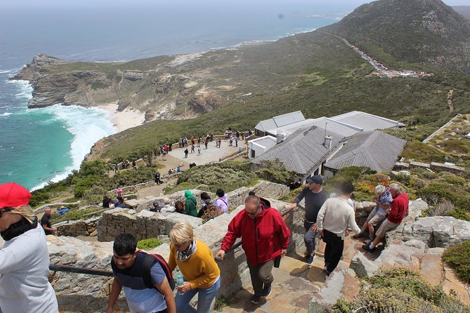 Cape of Good Hope Bo-Kaap Penguins Full Day Tour From Cape Town