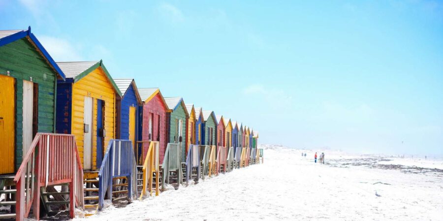 Cape Peninsula and Penguin Colony Full Day