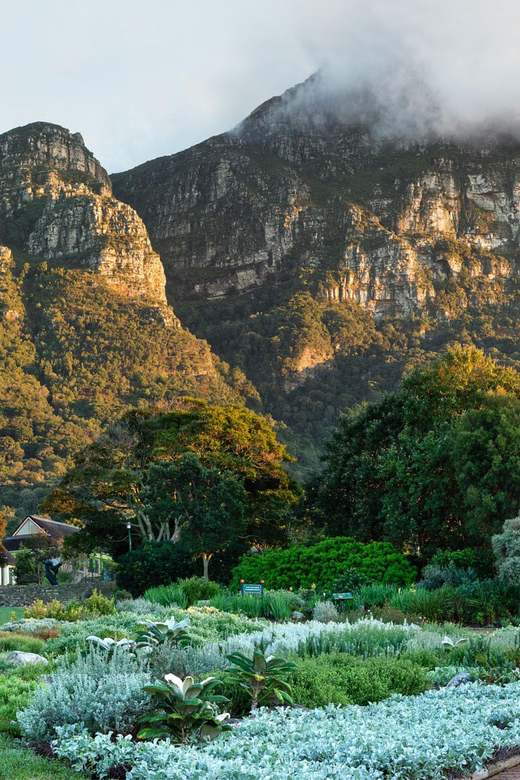 Cape Road Trip, Kirstenbosch Gardens Tour, 3-Course Lunch