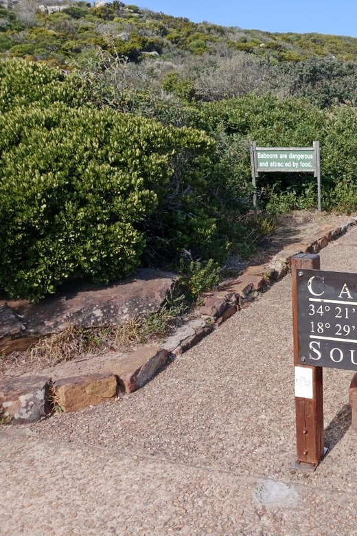Cape Town: Cape of Good Hope and Boulders Beach Private Tour