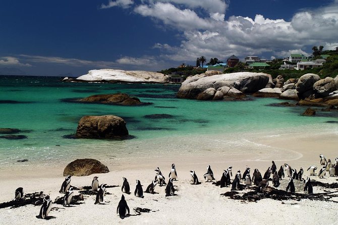 Cape Town Day Tours