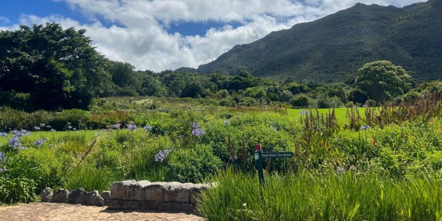 Cape Town: Private Stellenbosch and Franschhoek Wine Tour