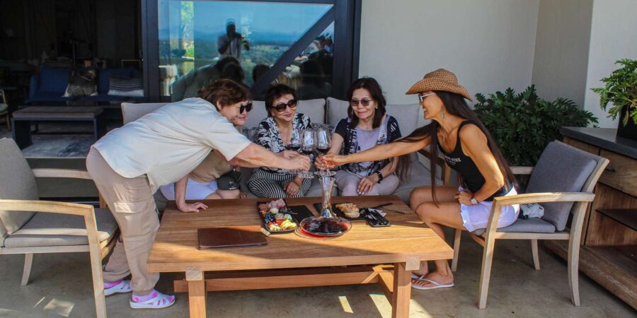 Cape Town: Stellenbosch and Franschhoek Wine Tasting Tour