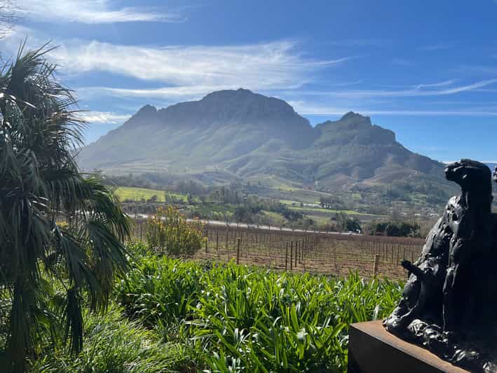 Cape Town: Stellenbosch & Franschhoek Private Wine Tour - Tour Overview