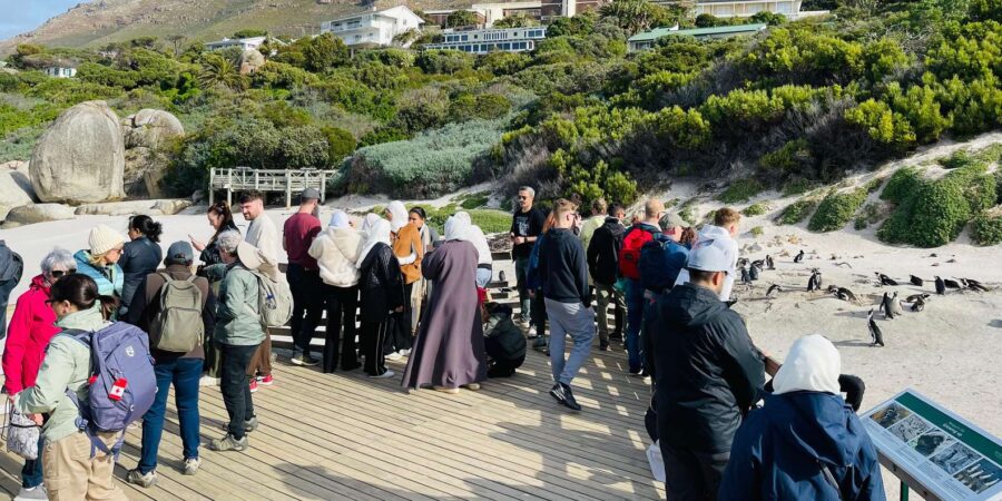 Cape Town: Table Mountain, Cape Point, Penguins Group Tour