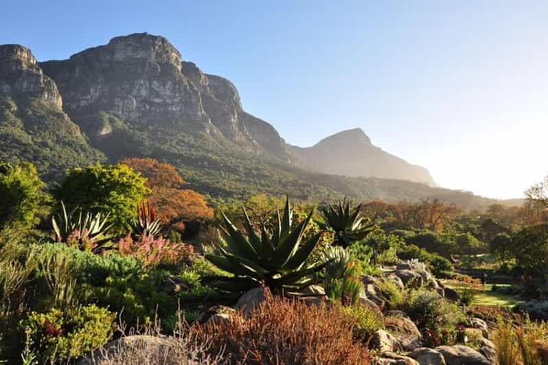 Cape Town: Table Mountain, Kirstenbosch, and Wine Tour