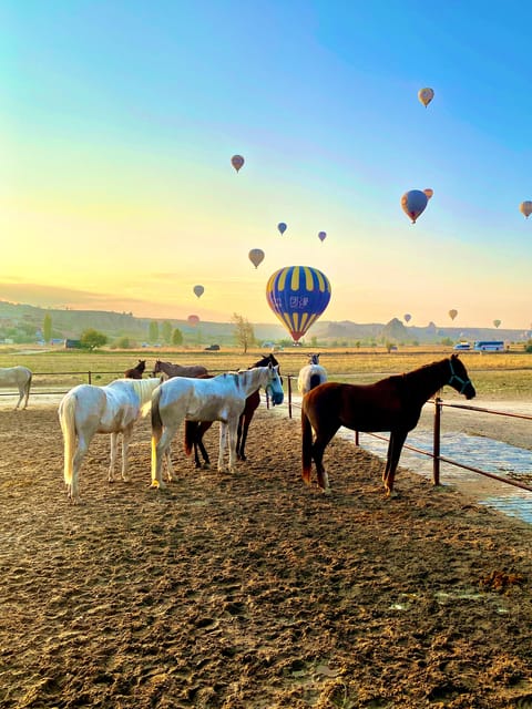 Cappadocia: Fascinating Horse Tour in Göreme Valleys