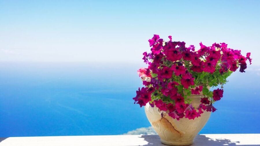 Capri: Tour of the Island With Guide - Tour Overview