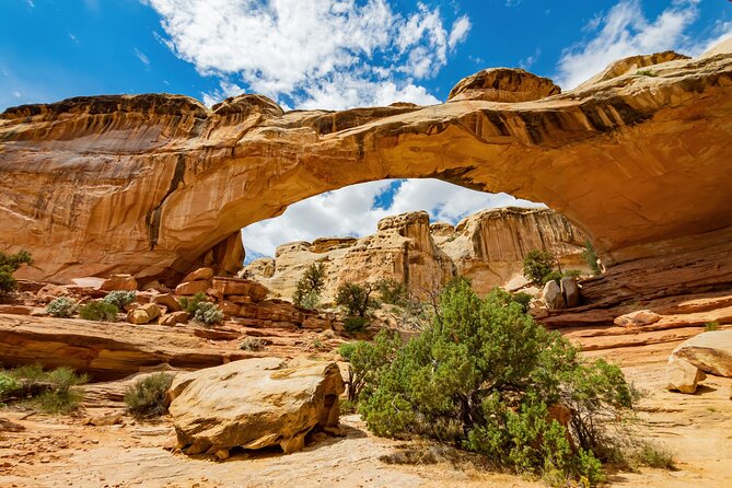 Captivating Capitol Reef: Full-Day Audio Driving Private Tour