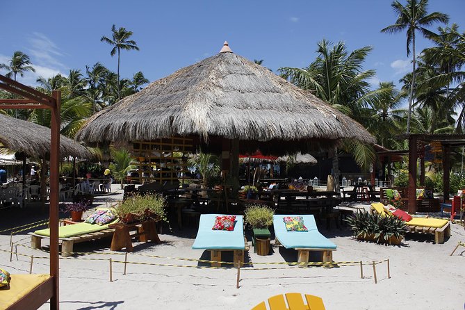 Carneiros Beach Day Tour