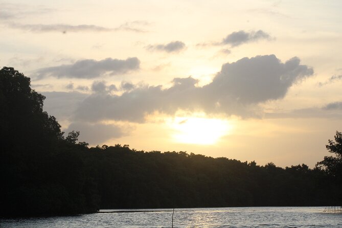 Caroni Bird Sanctuary Tour