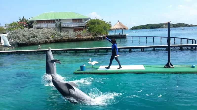 Cartagena: 4 Island Destination by Boat + Oceanarium Tickets