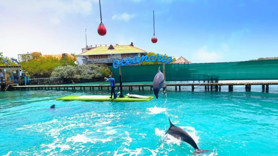 Cartagena: 4 Islands by Sport Boat + Oceanarium Tickets - Tour Overview