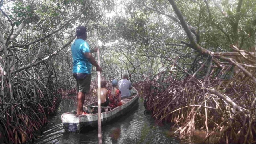 Cartagena Mangrove Tour