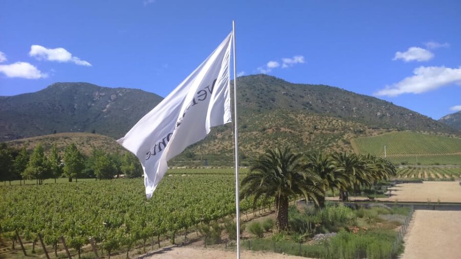 Casablanca Valley: Full-Day Private Wine Tour