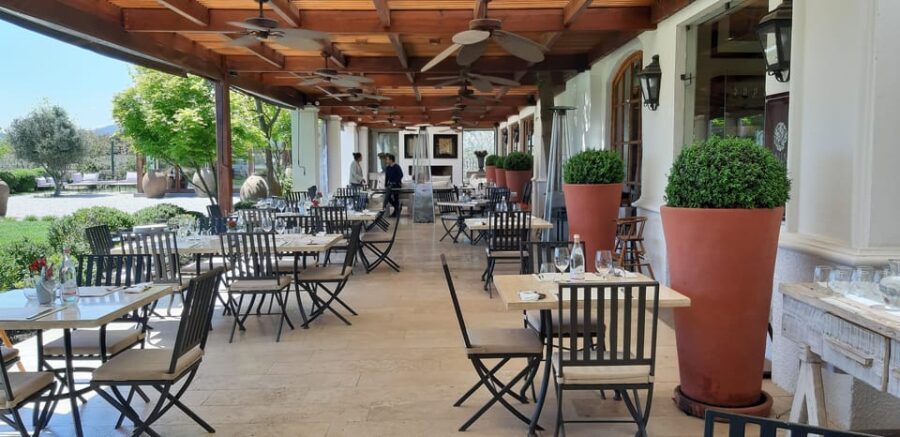 Casablanca Valley: Full-Day Private Wine Tour
