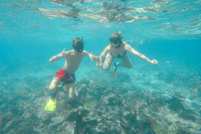 Catalina Island – Full Day All Inclusive Experience