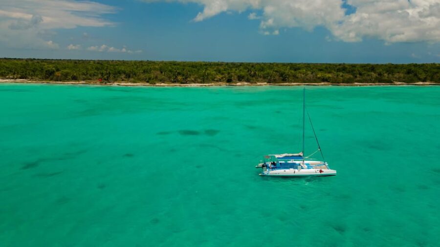 2 Best Food Tours In Bayahibe
