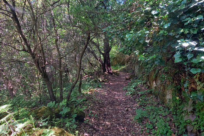 Cavagrande Hiking Tour - Tour Overview