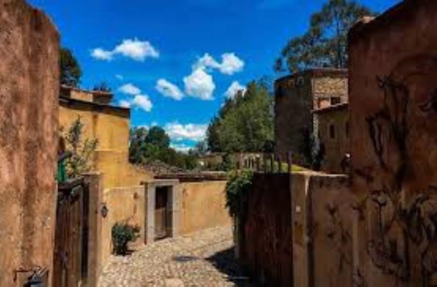 CDMX: Valquirico Day Tour