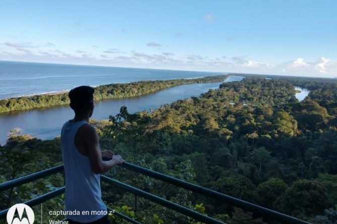 Cerro Tortuguero Tour (Aaron Tours)