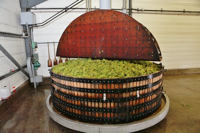 Champagne Guy De Chassey: Traditional Tour & Tasting - Tour Highlights and Inclusions