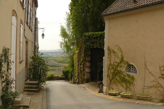 Champagne Lovers Half Day Tour for Private Groups Over 8 With Coach & Driver - Transportation and Logistics