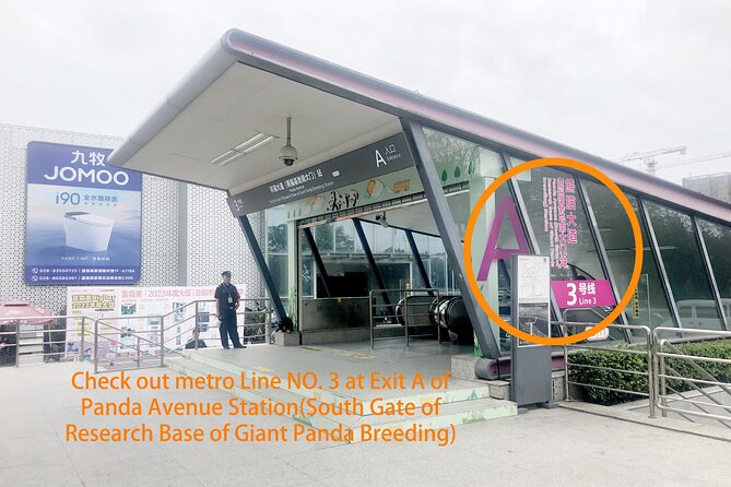 Chengdu Panda Base Half Day Tour