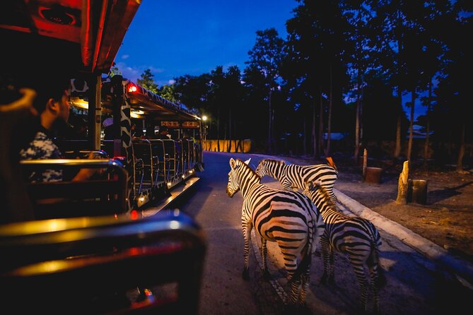 Chiang Mai Night Safari Ticket - Overview and Rating