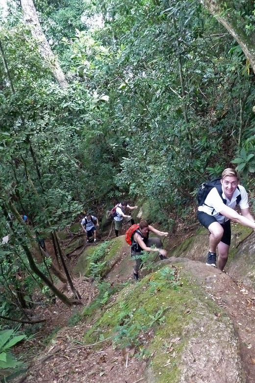 Christ the Redeemer Through Lage Park 6-Hour Hiking Tour