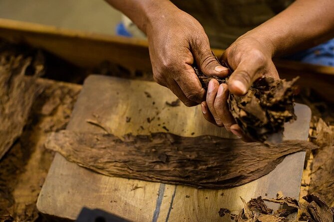 Cigar & Rum Tasting Experience (2 in 1 Tour) - Tour Overview