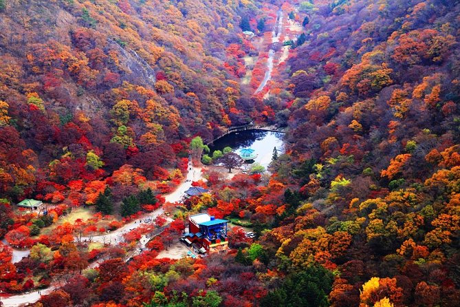 Classic Naejangsan National Park One Day Tour (Autumn Limited） - Trip Overview