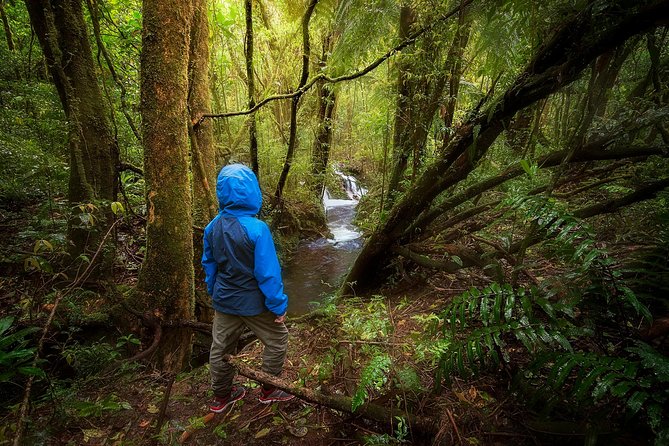 9 Best National Park Tours In La Fortuna