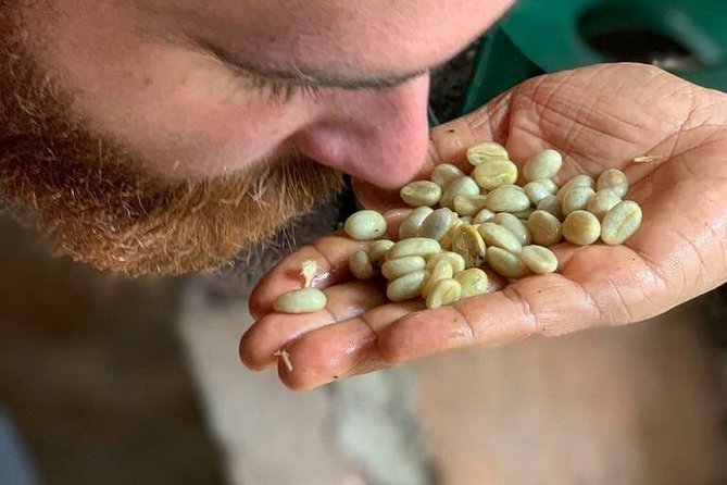 Coffee Experience – Finca in Fredonia