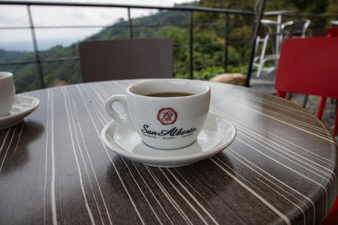 Coffee Farm Experience at Hacienda San Alberto From Salento