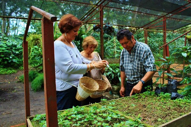 Coffee Plantation 7 Hrs Private Exclusive Tour Lunch All Included