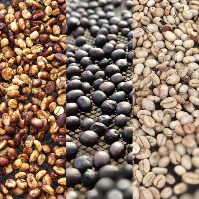Coffee Tour and Salento Walking Tour With Lunch