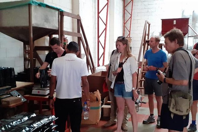 Coffee Tour and Thermal Waters - Tour Overview