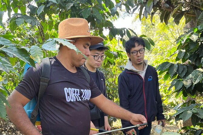 Coffee Tour Near the Agua Volcano With Tasting - Health and Accessibility