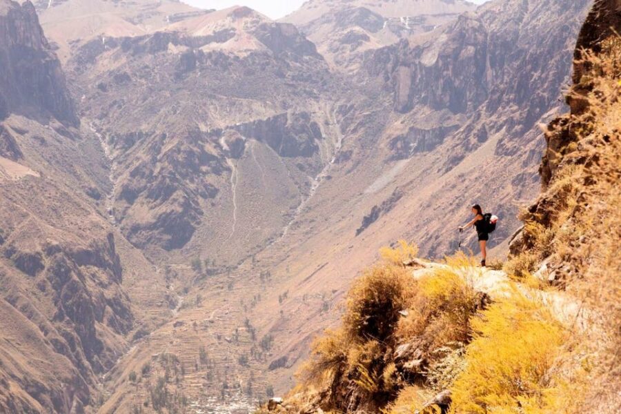Colca Canyon Trip 2 Days + Transfer to Puno With Meals