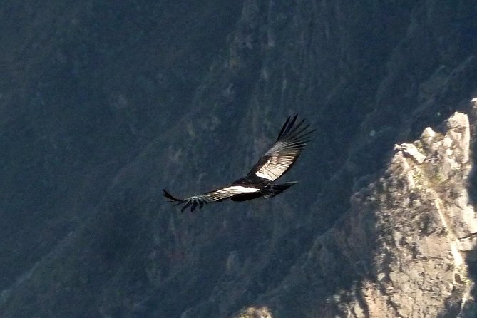 Colca Trek – 2 Days Tour