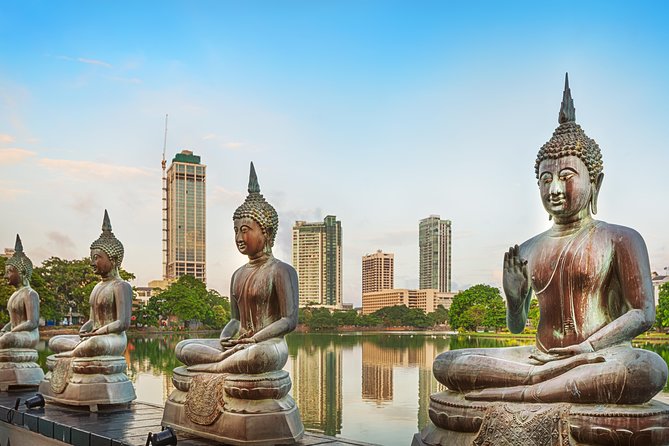 Colombo Port Private Shore Excursion and Tours - Inclusions and Pricing