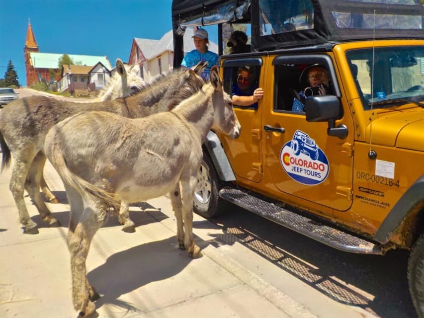 Colorado Jeep Tours – Gold Belt Tour